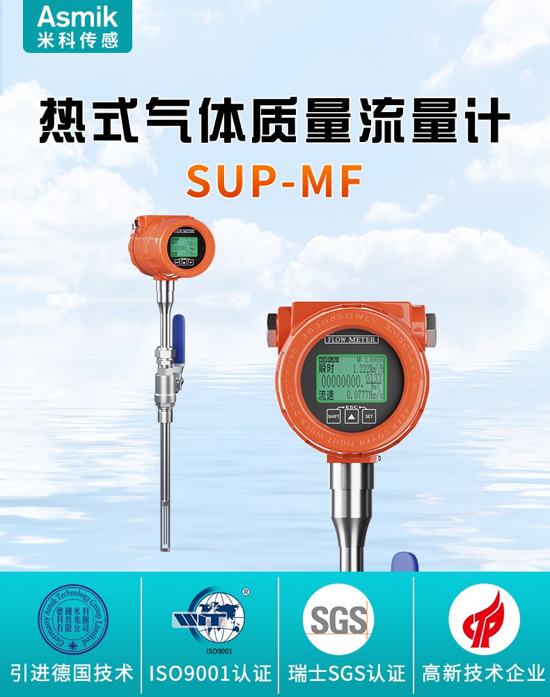 熱式氣體質量流量計產(chǎn)品概述